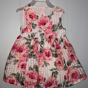 Beautiful rose dress